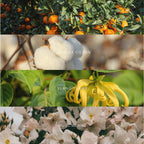 PARFUM D'AMBIANCE CLARTÉ - Déesse Créations Artisanales