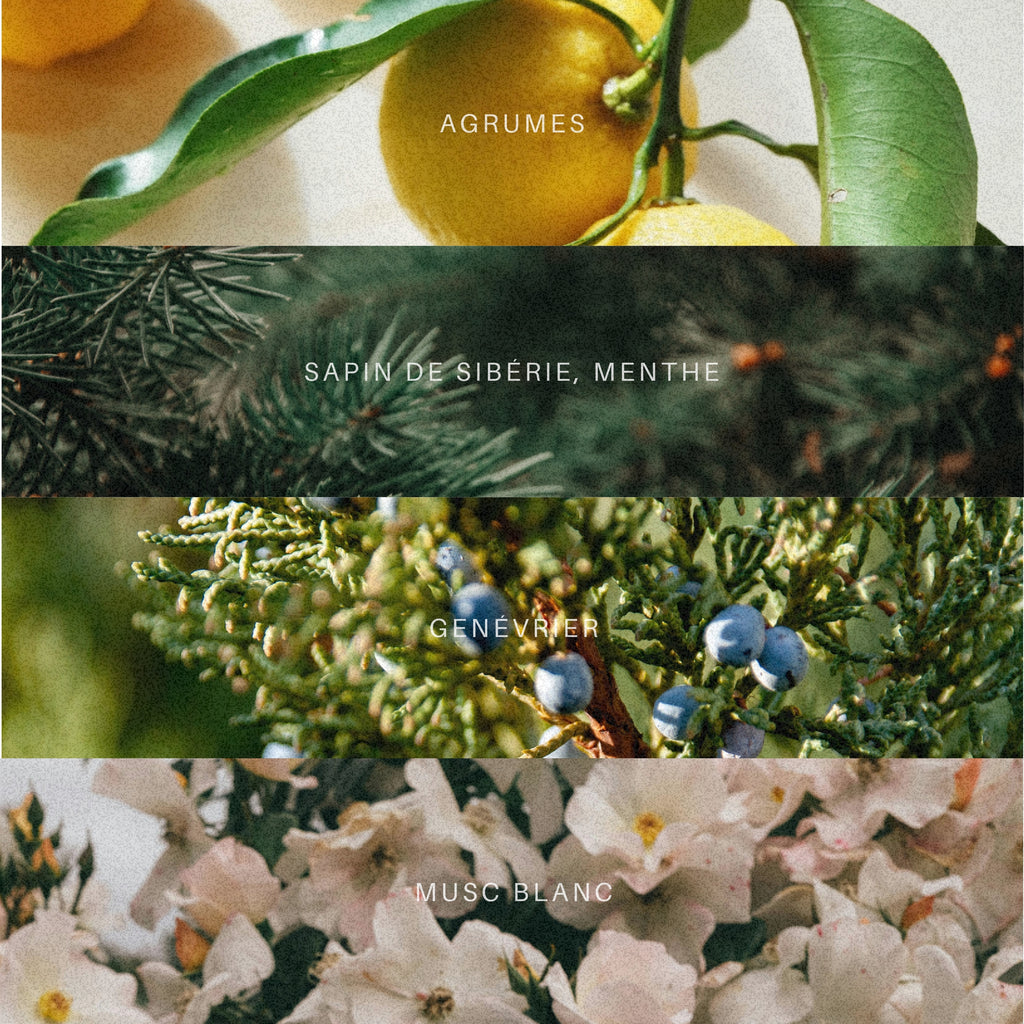 PARFUM D'AMBIANCE HÉRITAGE ANCESTRAL - Déesse Créations Artisanales